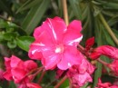 Photo 144 * 640 x 480 * (97KB)